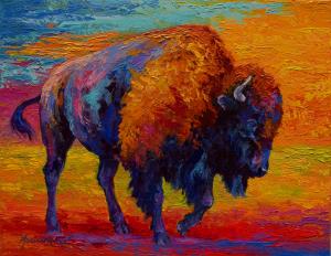 Bison Artwork chosen by West Texas AandM University